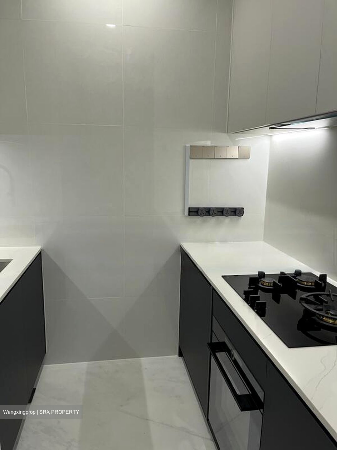Cairnhill 16 (D9), Apartment #619525411